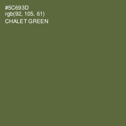 #5C693D - Chalet Green Color Image